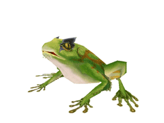 綠毒蛙.gif